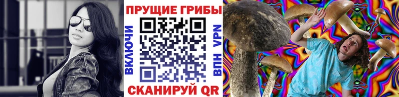 Псилоцибиновые грибы Cubensis Купить закладки Бологое